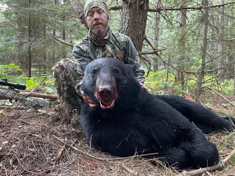Where Did My Bears Go? - Bear Baiting - Bear Hunting Magazine